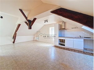 studio à la location -   87700  AIXE SUR VIENNE, surface 48 m2 location studio - UBI463650608